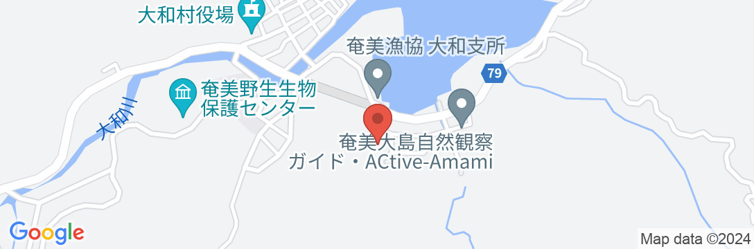 奄美大和ゲストハウスそのうち<奄美大島>の地図