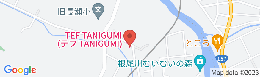 TEF TANIGUMIの地図