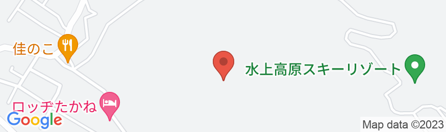 大沢荘<群馬県>の地図