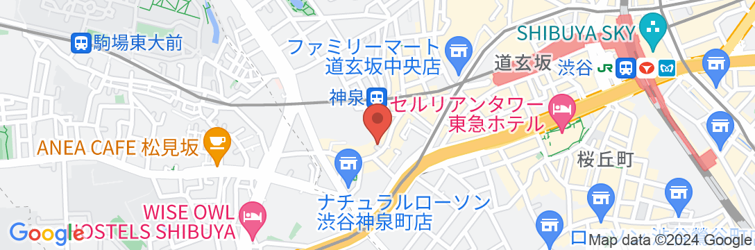 Shibuya Capsule Bamboo Hotelの地図
