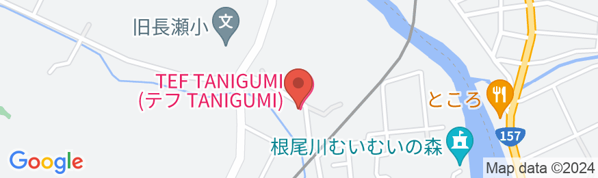 TEF TANIGUMIの地図