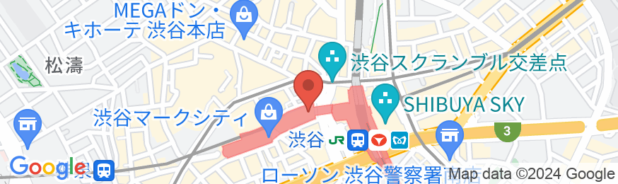 渋谷エクセルホテル東急の地図